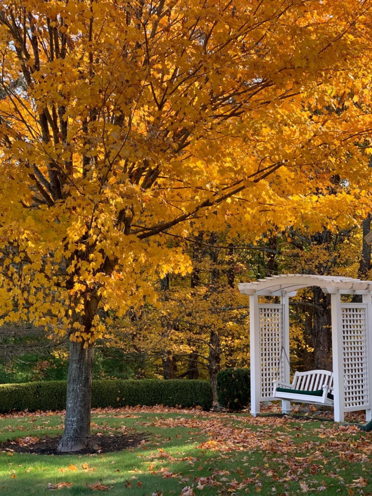 Ashburnham Maguire House Bed And Breakfast المظهر الخارجي الصورة