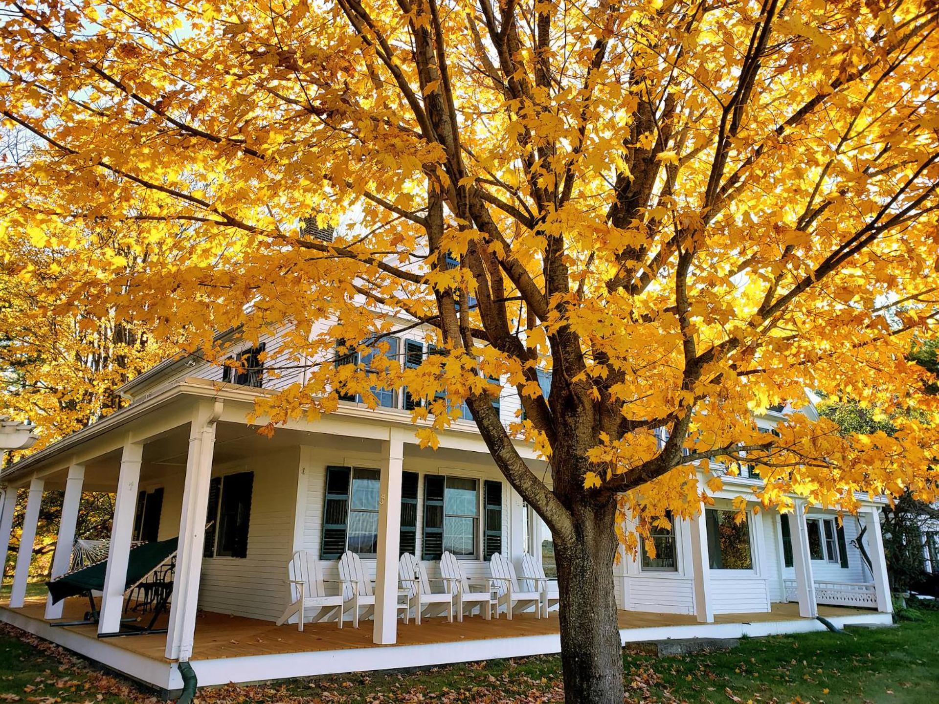 Ashburnham Maguire House Bed And Breakfast المظهر الخارجي الصورة